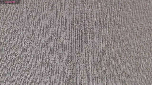 ALONA Musk online show from March 2025 04:44:02 PM