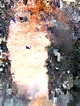 Snapshot of erinadarling79 chatting on September 2025 10:02:01 PM erinadarling79 online show from September 2025 10:02:01 PM