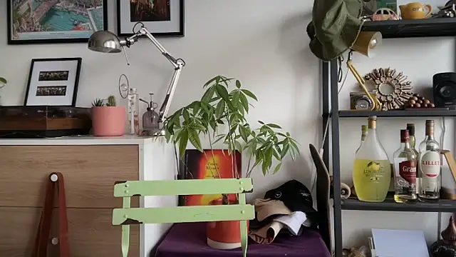 Snapshot of MikymikeBBWD chatting on November 2025 01:54:02 PM MikymikeBBWD online show from November 2025 01:54:02 PM