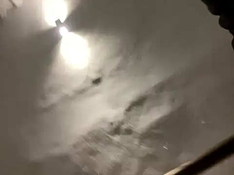 Snapshot of morfeoX chatting on February 2025 06:28:01 AM morfeoX online show from February 2025 06:28:01 AM