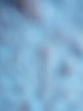 maialani online show from October 2025 09:07:02 AM