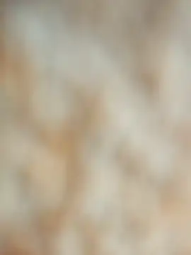 maialani online show from October 2025 09:40:01 AM