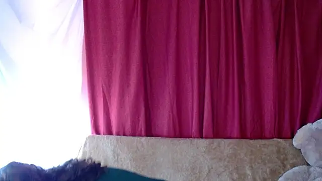 Snapshot of morahaze chatting on November 2025 05:11:01 PM morahaze online show from November 2025 05:11:01 PM