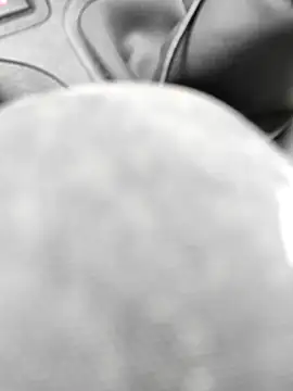 stfbi online show from February 2025 01:31:02 PM