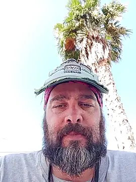 serpensy online show from June 2026 08:17:02 AM