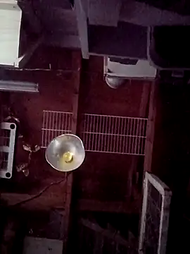 salchichon 69 online show from March 2026 02:28:01 PM