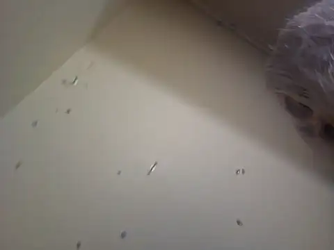 Louna45dv online show from February 2025 08:14:02 PM