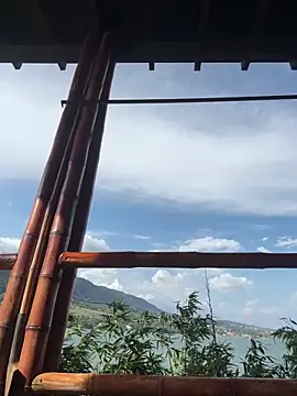 Alice surprise online show from March 2026 08:58:02 PM