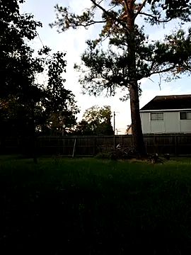 Snapshot of HTXBELLE chatting on September 2025 11:59:01 PM HTXBELLE online show from September 2025 11:59:01 PM