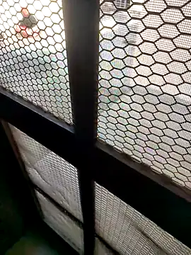 Snapshot of indian_couple4 chatting on February 2026 08:40:02 AM indian couple4 online show from February 2026 08:40:02 AM