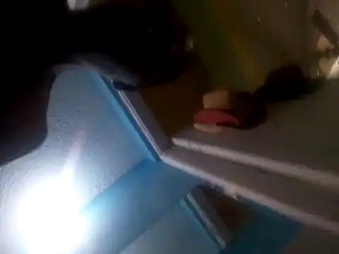 calme odl1 online show from April 2026 06:57:02 PM