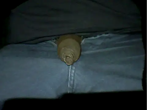 Snapshot of Mthondo-qinile chatting on November 2025 09:30:02 PM Mthondo-qinile online show from November 2025 09:30:02 PM