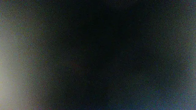 Gooss cum online show from January 2026 03:32:01 AM