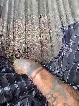 vertin07 online show from November 2025 05:33:02 PM