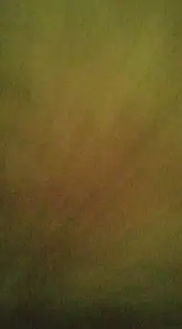 Snapshot of Sexlove1xo chatting on March 2025 07:59:02 PM Sexlove1xo online show from March 2025 07:59:02 PM