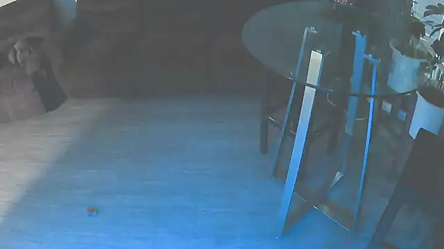 Fuckmehardandcloudy online show from January 2026 11:41:02 PM