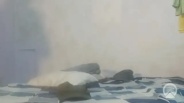 longsexji online show from March 2026 06:55:02 PM