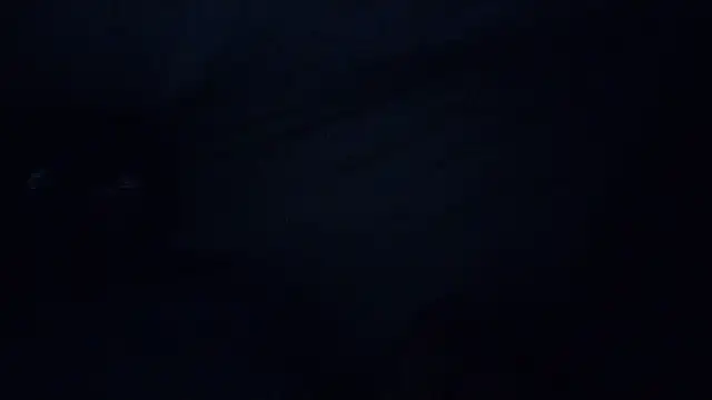 Mrpito7878 online show from March 2025 02:40:02 PM