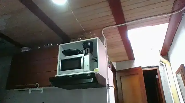 NERUS0982 online show from March 2025 09:27:02 PM