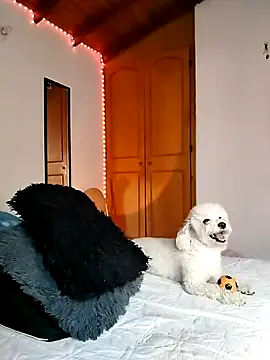 Snapshot of morenosiam chatting on November 2025 09:36:01 PM morenosiam online show from November 2025 09:36:01 PM