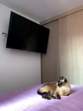 AshleyG 222 online show from December 2025 04:46:02 PM