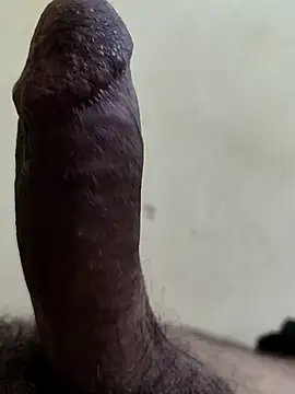 alkhabiir online show from October 2025 09:41:01 PM