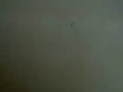 mayra89 online show from March 2026 08:25:01 AM