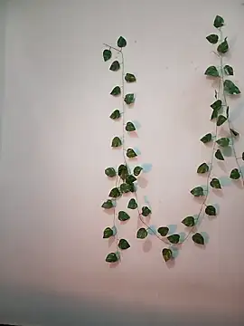 Snapshot of Neha-Bhabhi-Rasily chatting on February 2026 11:17:01 AM Neha-Bhabhi-Rasily online show from February 2026 11:17:01 AM