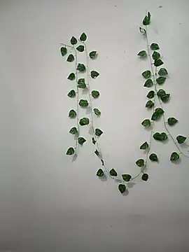 Snapshot of Neha-Bhabhi-Rasily chatting on February 2026 09:08:01 AM Neha-Bhabhi-Rasily online show from February 2026 09:08:01 AM