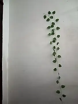 Snapshot of Neha-Bhabhi-Rasily chatting on March 2026 03:55:02 AM Neha-Bhabhi-Rasily online show from March 2026 03:55:02 AM