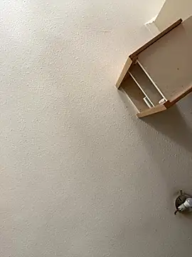 Flacovergon26 online show from January 2026 05:51:02 PM