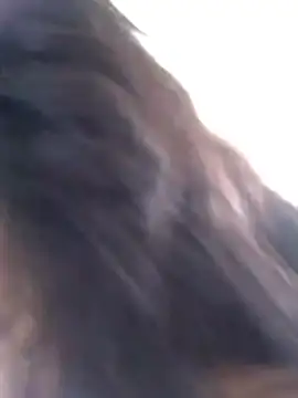 Snapshot of dihayara chatting on January 2026 01:48:02 PM dihayara online show from January 2026 01:48:02 PM