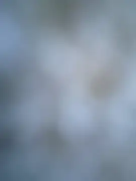 coolbrady17 online show from March 2025 10:52:01 AM