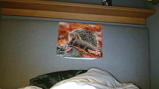 Snapshot of Saysay-7 chatting on October 2025 05:33:02 PM Saysay-7 online show from October 2025 05:33:02 PM