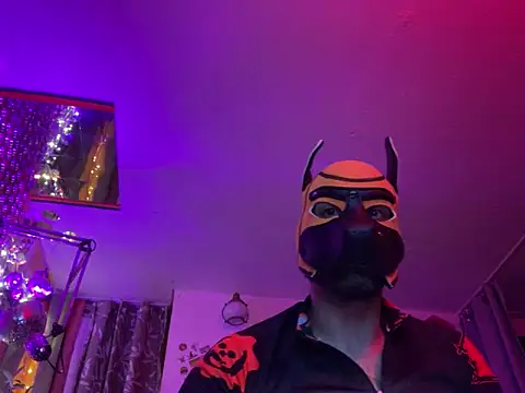 Snapshot of danix_wild_wolf chatting on December 2025 04:30:02 AM danix wild wolf online show from December 2025 04:30:02 AM