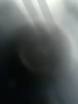 Gotabodiee online show from November 2025 12:59:02 PM