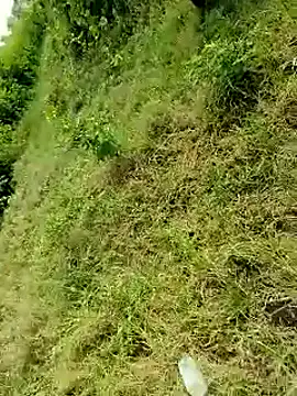 himvilohi08 online show from October 2025 04:10:01 AM