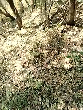 himvilohi08 online show from March 2026 07:12:02 AM