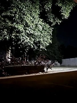 Snapshot of bakedsnackmmh chatting on February 2026 09:33:01 PM bakedsnackmmh online show from February 2026 09:33:01 PM