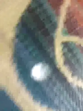 Snapshot of Sexy-nandani-baby chatting on October 2025 05:28:02 AM Sexy-nandani-baby online show from October 2025 05:28:02 AM