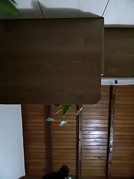 Snapshot of Sexi_girl29 chatting on October 2025 09:16:01 AM Sexi girl29 online show from October 2025 09:16:01 AM