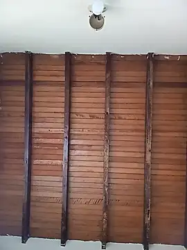 Sexi girl29 online show from November 2025 08:58:02 PM