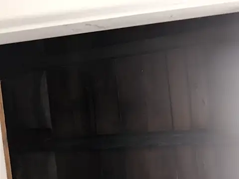 Snapshot of Nick-Ox chatting on September 2025 01:55:02 AM Nick-Ox online show from September 2025 01:55:02 AM