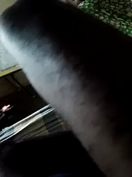 PolarFriend0 online show from February 2026 04:37:02 PM