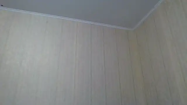 Snapshot of _Black-Panther_ chatting on September 2025 10:31:01 AM Black-Panther online show from September 2025 10:31:01 AM