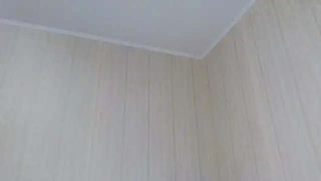 Snapshot of _Black-Panther_ chatting on October 2025 10:55:01 AM Black-Panther online show from October 2025 10:55:01 AM