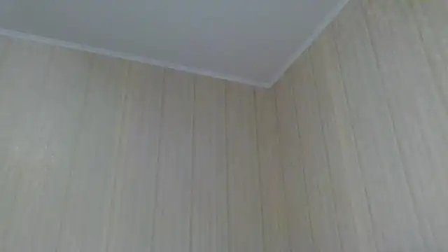 Snapshot of _Black-Panther_ chatting on October 2025 12:03:02 PM Black-Panther online show from October 2025 12:03:02 PM