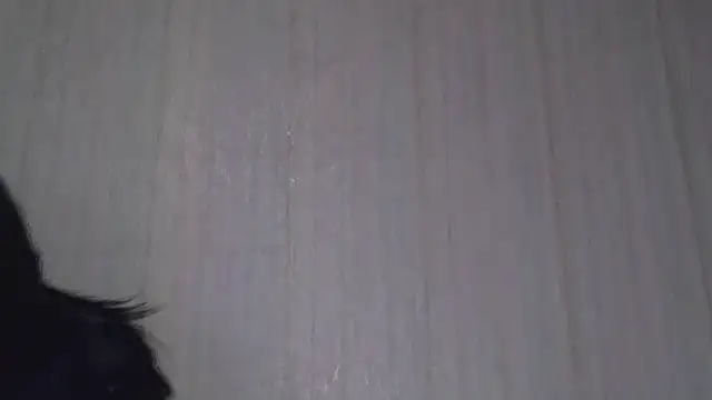 Snapshot of _Black-Panther_ chatting on October 2025 08:26:02 AM Black-Panther online show from October 2025 08:26:02 AM