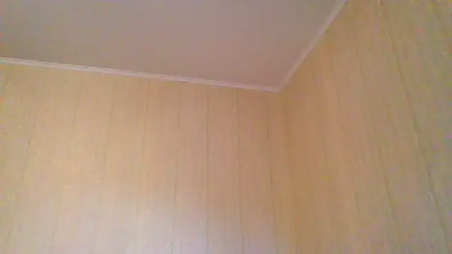 Snapshot of _Black-Panther_ chatting on June 2026 04:05:02 PM Black-Panther online show from June 2026 04:05:02 PM