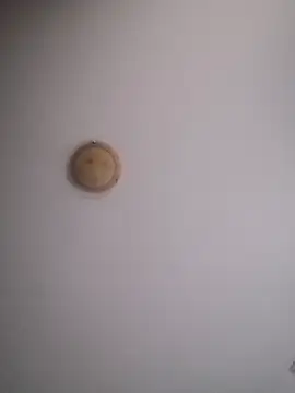 Snapshot of yourflowerpink chatting on November 2025 08:28:01 AM yourflowerpink online show from November 2025 08:28:01 AM